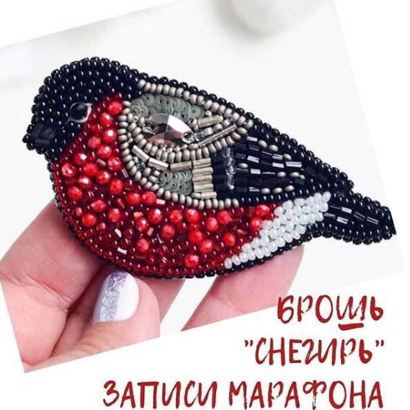 [belozerova.mk] Запись марафона Брошь «Снегирь» (2_0.jpg